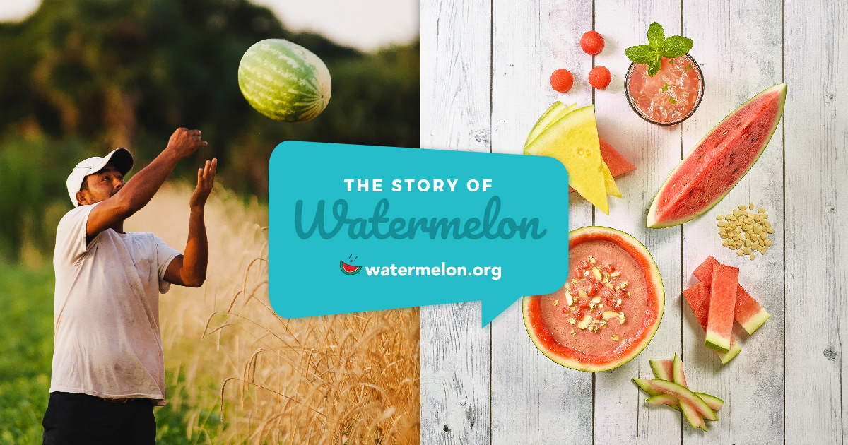 essay on fruit watermelon