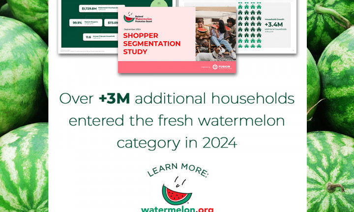 Cover of shopper segmentation study final report, along with fact that says "over +3M additional households entered the fresh watermelon category in 2024"